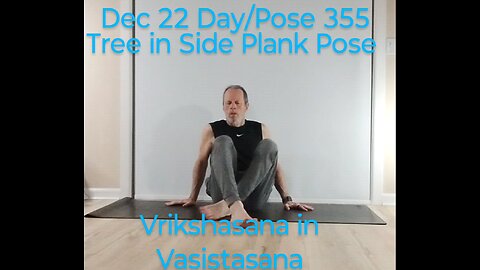 Vrikshasana in Vasistasana / Tree in Side Plank Pose