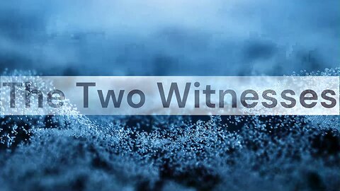 The Two Witnesses