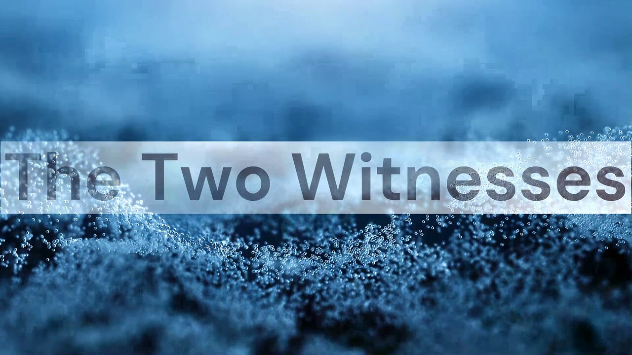 The Two Witnesses