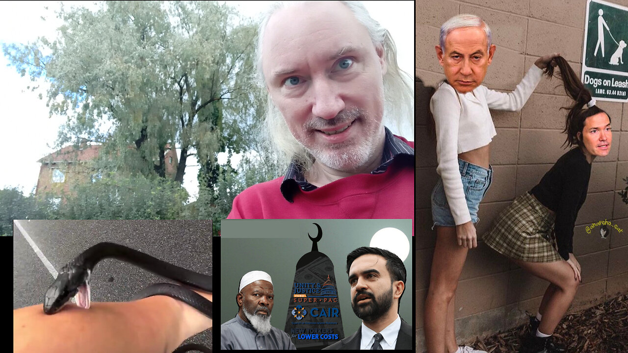 News analyses: Un-Socialist breasts. ARCAS. Larry Ellison. Hezbollah takes over NYC? List-persuasion