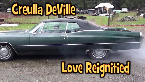 Creulla DeVille. The Love Returns!