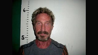 Gringo - The Dangerous Life of John McAfee (2016)