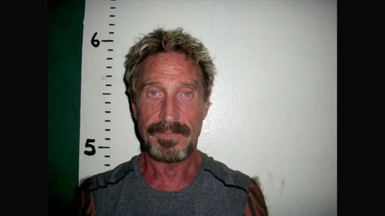 Gringo - The Dangerous Life of John McAfee (2016)