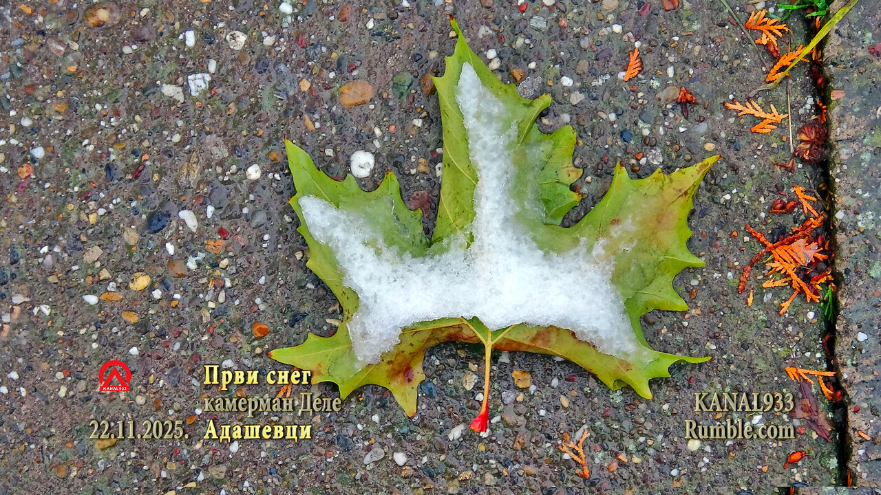 20251122 Prvi sneg