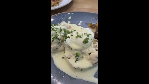 Starfish Kitchen | 4K