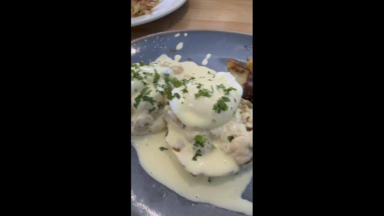 Starfish Kitchen | 4K