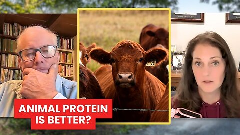 New Study PROVES Animal Protein is Superior? Dr. Sina Explains