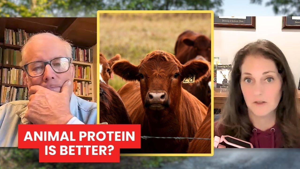 New Study PROVES Animal Protein is Superior? Dr. Sina Explains