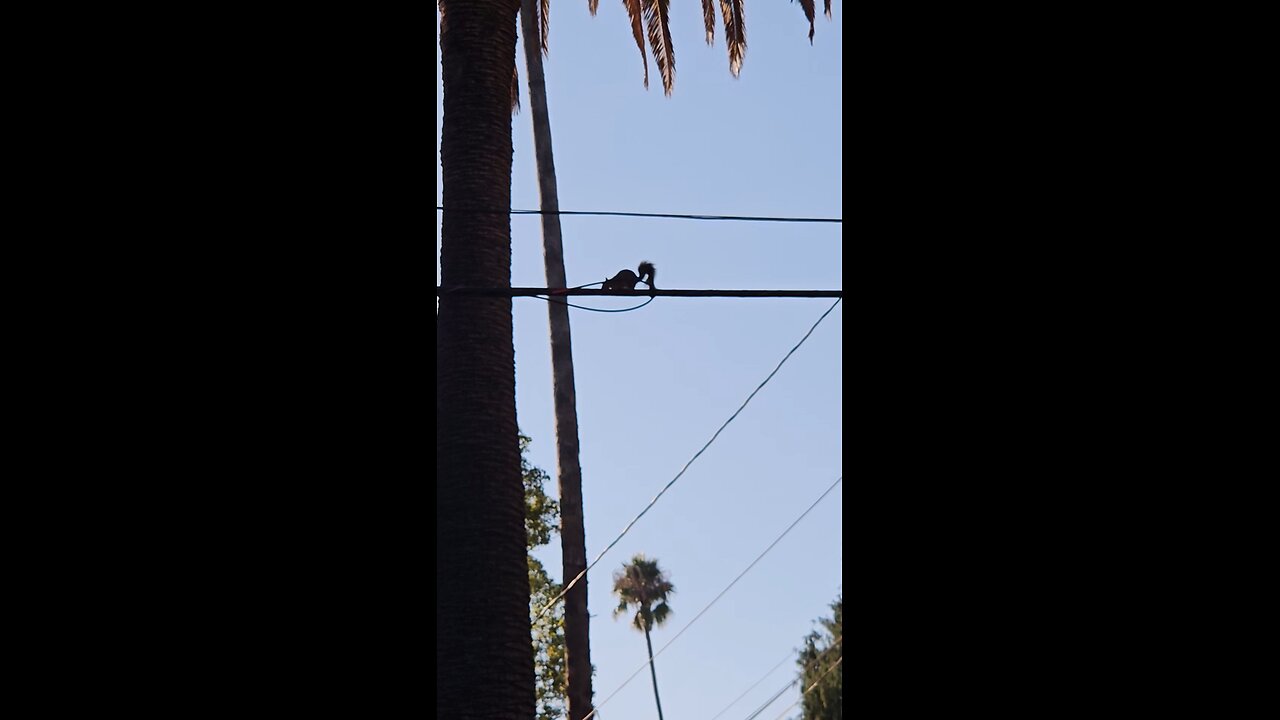 I can't believe you did that 😂