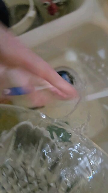 Part 3 of cleaning a dish