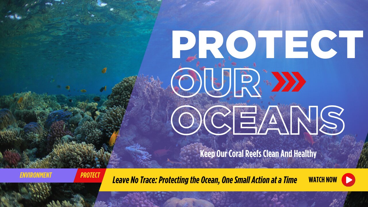 Leave No Trace: Protecting the Ocean, One Small Action at a Time