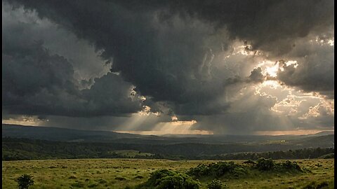 G150 The Swiss Silenced Guerrilla Anti-Materiel Rifle & Organizing Patriotic Mentality