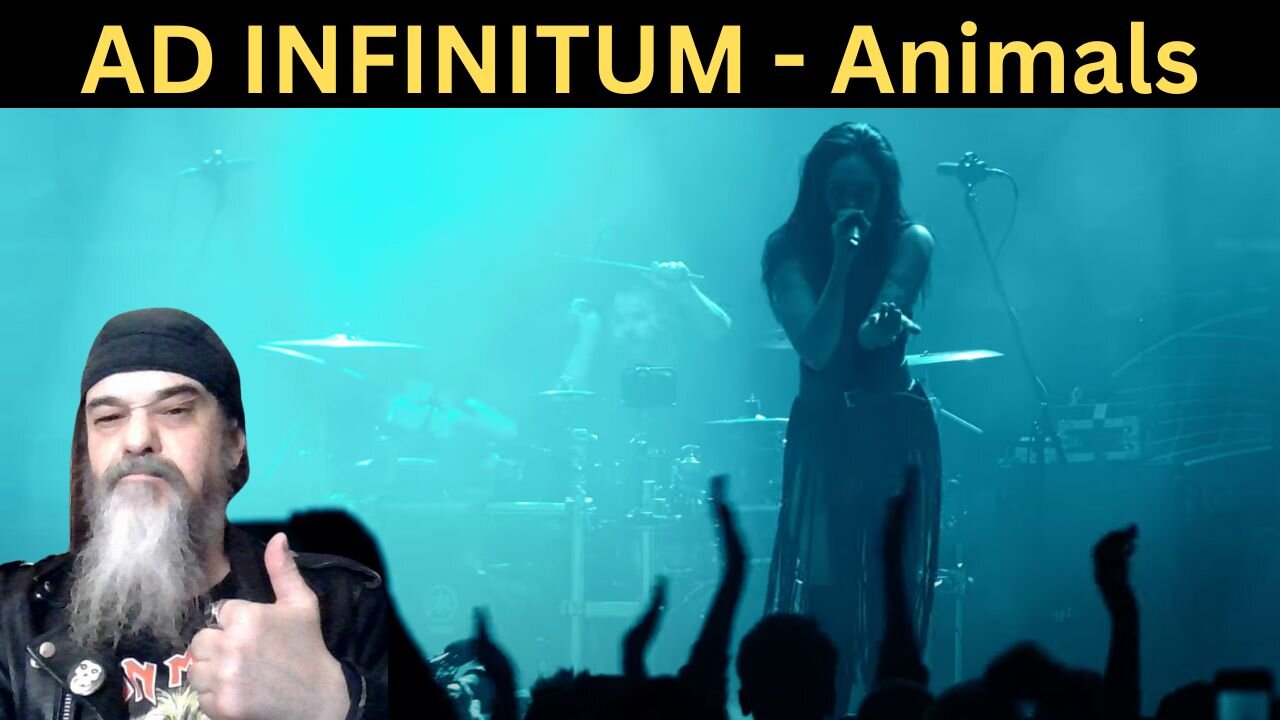 THIS WAS AWESOME! - Metal Dude (REACTION) - AD INFINITUM - "Animals" (Live in Oberhausen 2022)