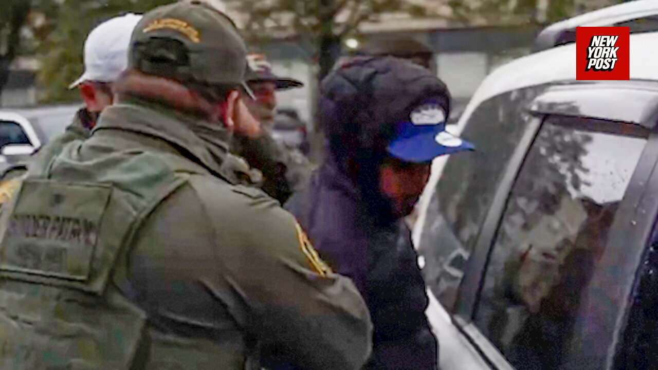 ICE reveals wild 'Operation Midway Blitz' arrests in Illinois