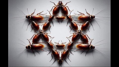 FBI : Can We Replace Them