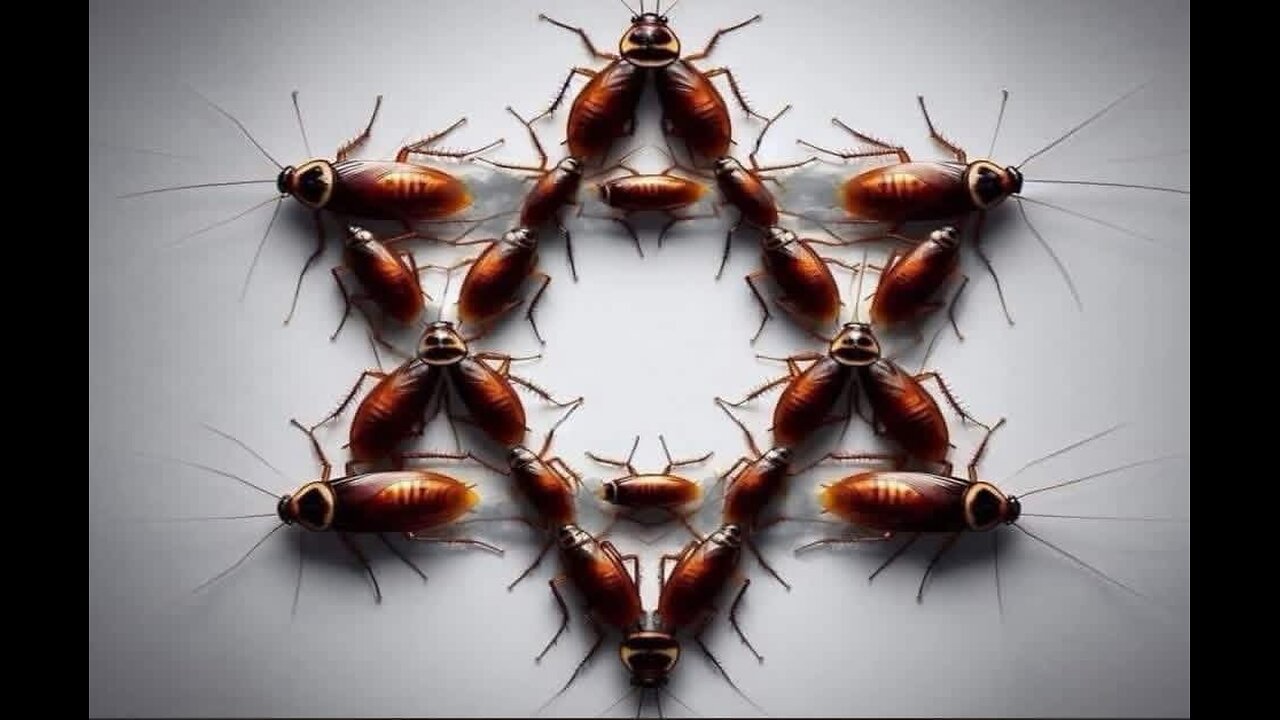 FBI : Can We Replace Them