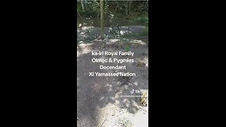 Ka-iri Royal Family, Olmec Empire, Xi Yamassee Nation,