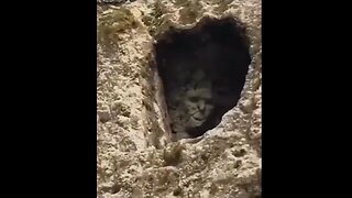 🌍Exposing The Mud Flood & Frequency Weapons Technology ~ Anonymous message