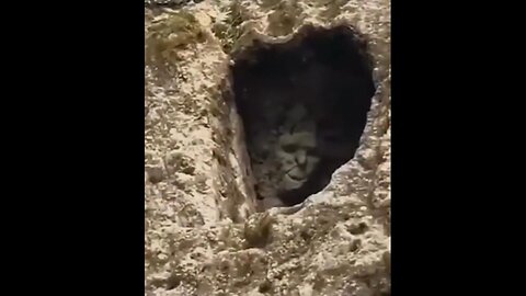🌍Exposing The Mud Flood & Frequency Weapons Technology ~ Anonymous message