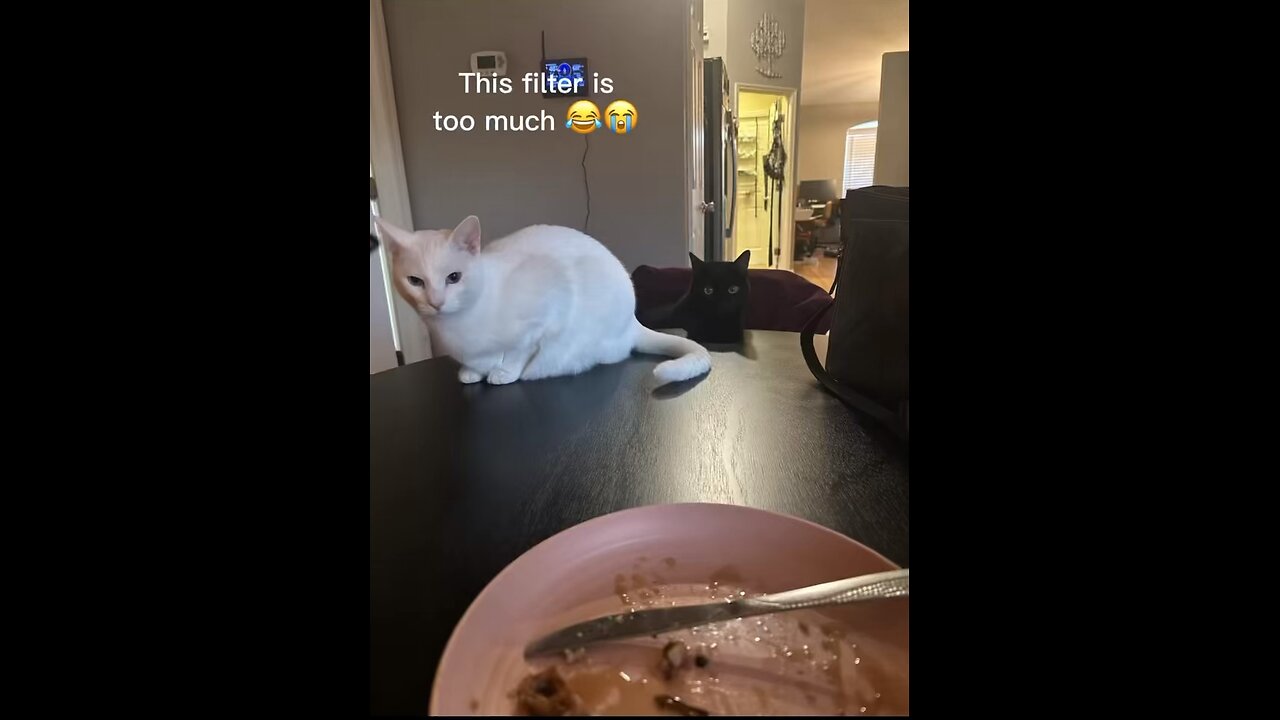 Mhmmmmmmm