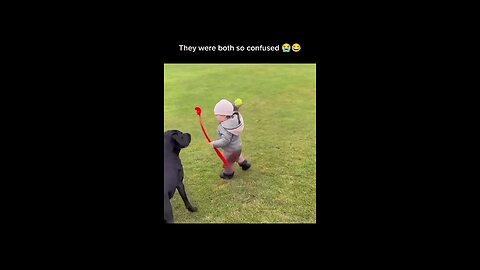 They both were confused 🤔#animals #dogs
