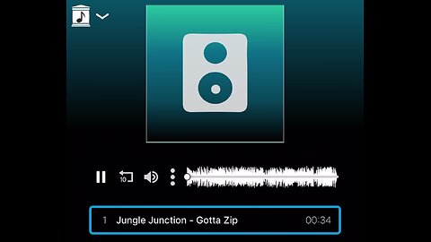 Jungle Junction - Gotta Zip Song