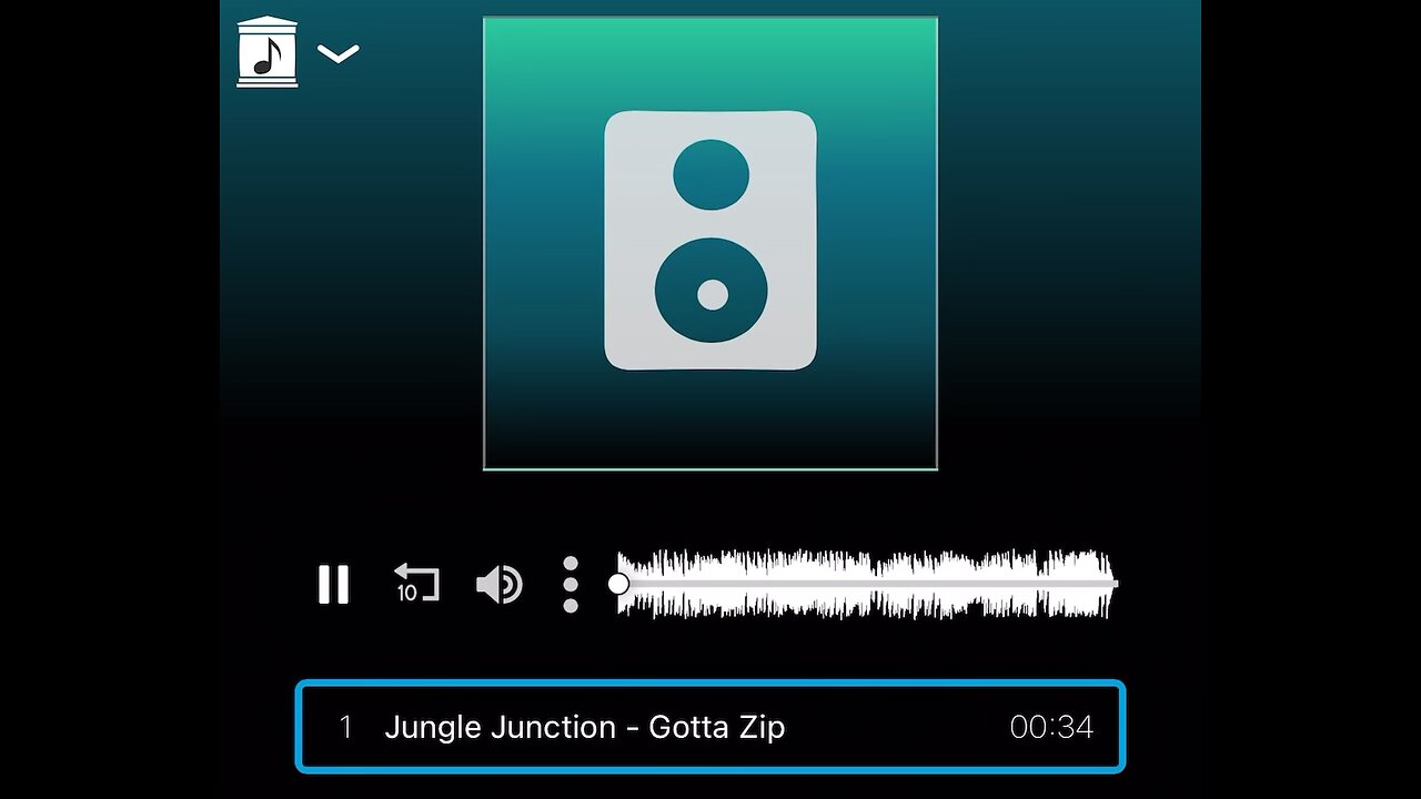 Jungle Junction - Gotta Zip Song