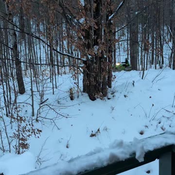 Pov : You live off a snowmobile trail