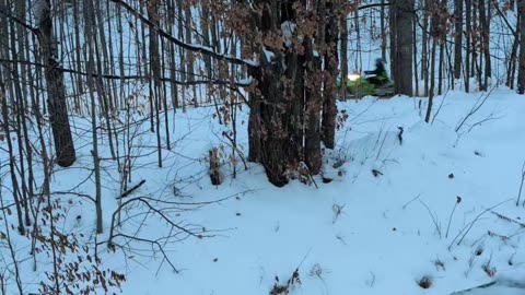 Pov : You live off a snowmobile trail