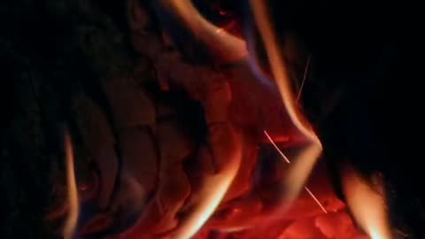 Daily Horoscope | Aries 🌟