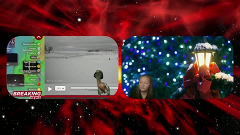 Night Owl News Archives - 12/10/2025