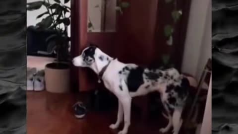 😱👻 You Won't Believe What They Caught on Camera! Creepy Paranormal Videos | TheHauntingHour