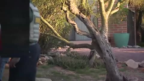 Authorities say they are 'aware' of new message regarding Nancy Guthrie