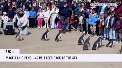 Tune in as Israel expects hostages release, Trump historic visit