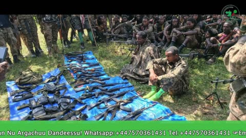 Gabaasa Tarkaanfii ONM-ABO Sadaasa 3-2025 itti dhiyaadhaa!