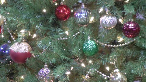 Worship From Mt. Olive Ev. Lutheran Church