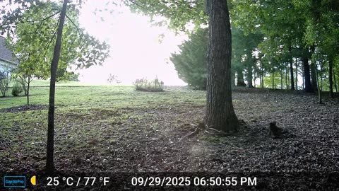 The Woods – 09/30/2025