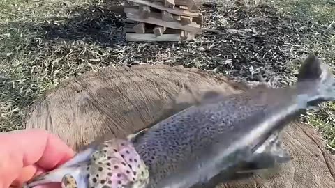 Fishing in the ice🥶🐟🐠