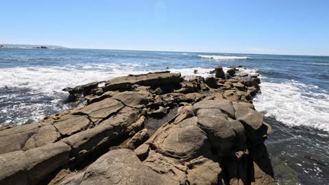 Short Time Reef Visit - Sunshine Ocean Vibes #sunshine #water #ocean