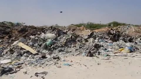 This is Mogadishu. Trump is right.