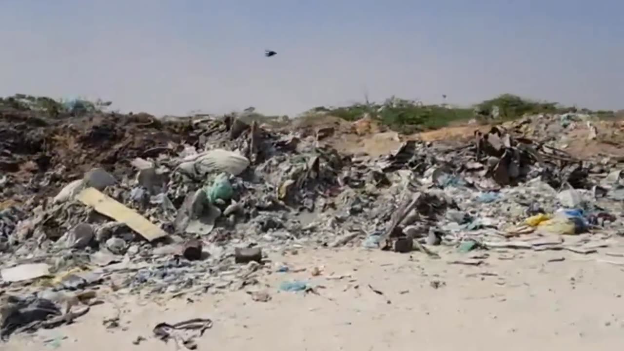 This is Mogadishu. Trump is right.