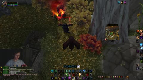 🍄Фарм трав и руды на друиде — золото льётся рекой🍄