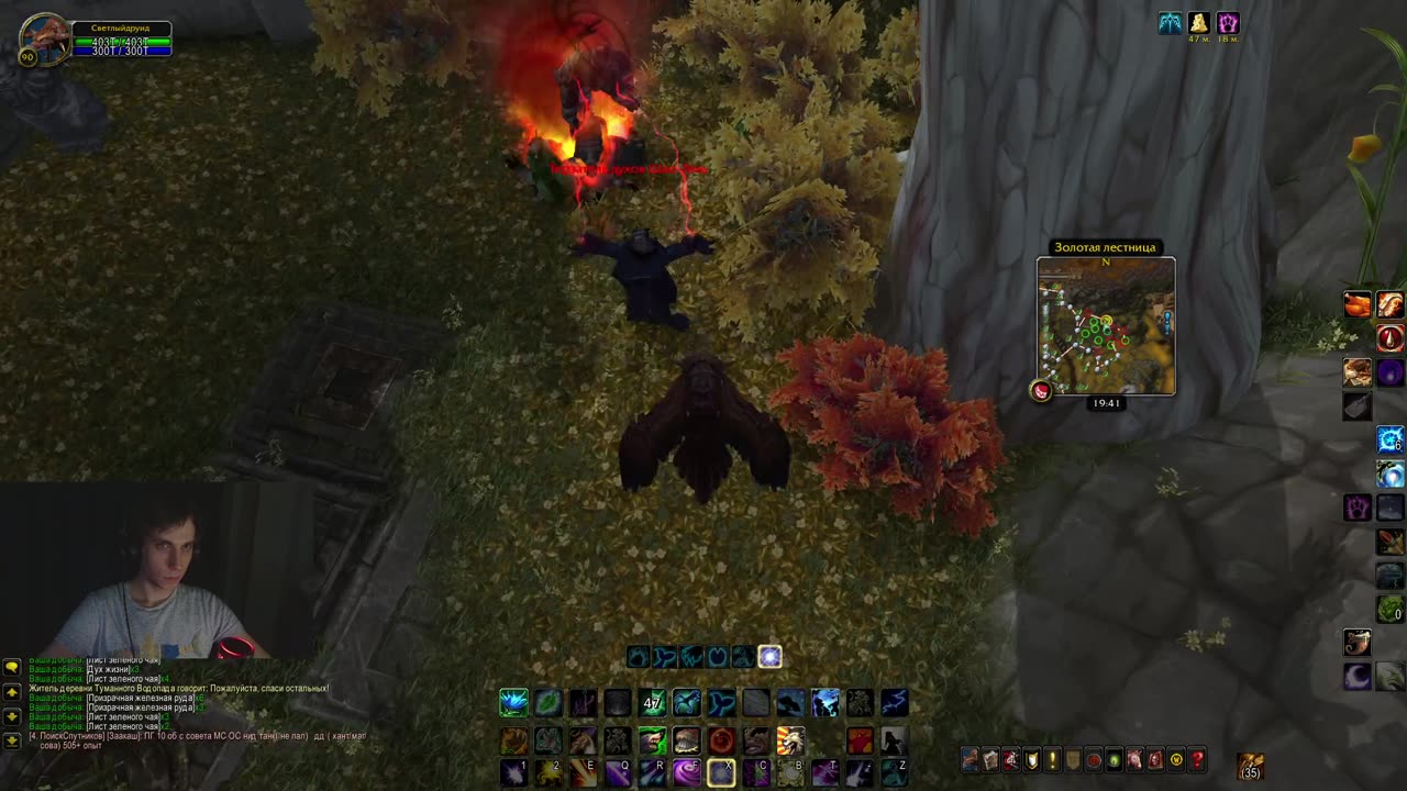 🍄Фарм трав и руды на друиде — золото льётся рекой🍄