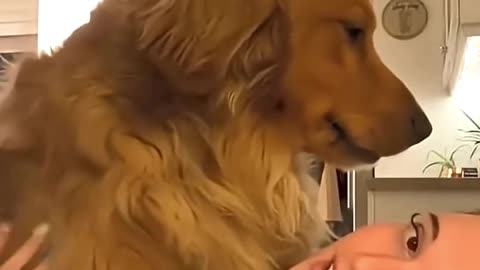 A Best Friend Teach You Love 😍🤗 #shortsreel #petlovers #love