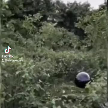 U.A.P. Footage in the jungle