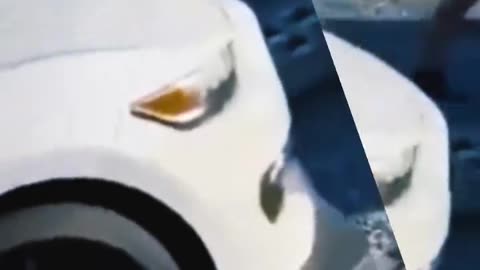 Unleash the Excitement: Ford Mustang Revealed from Enclosed Trailer! 🚗