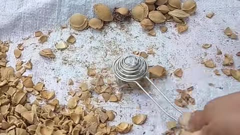 😮🛠️ Watch Tools In Action! | FeedMyCuriosity