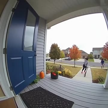 Napoleon porch pirate