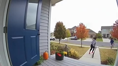 Napoleon porch pirate