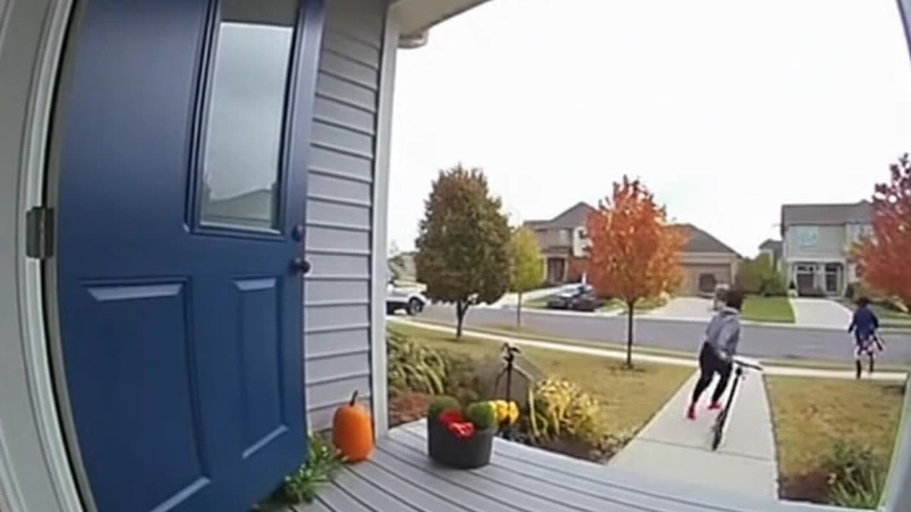 Napoleon porch pirate